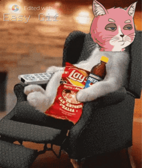 El Gato Meme GIFs