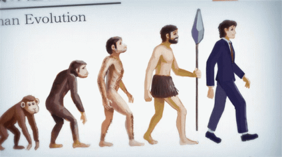 Evolution GIFs
