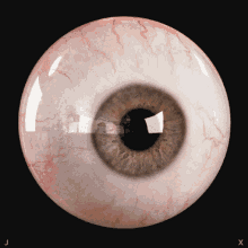 Eyeball GIFs