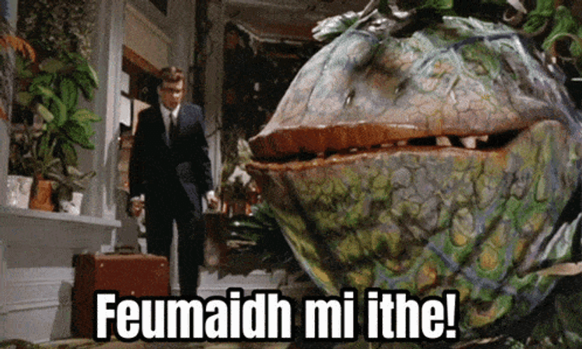 Feed Me Seymour GIFs