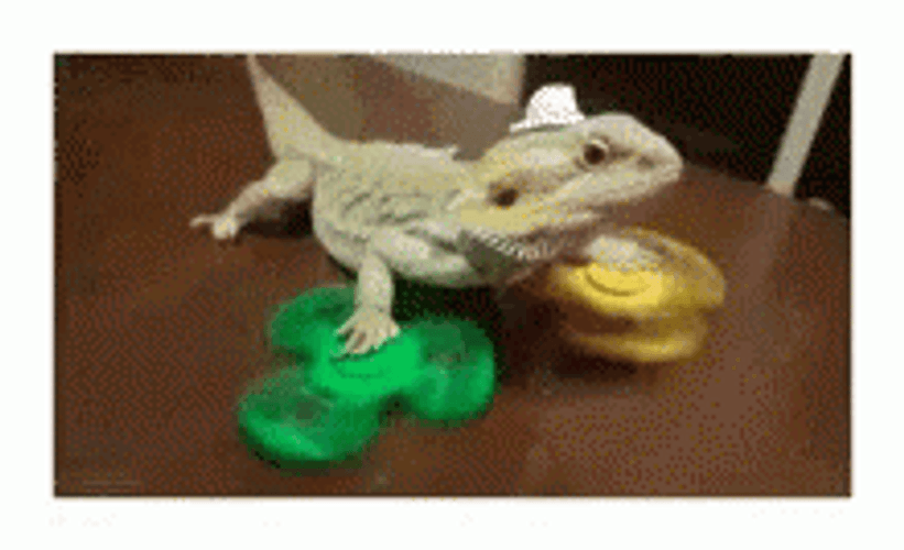 Fidget Spinner GIFs