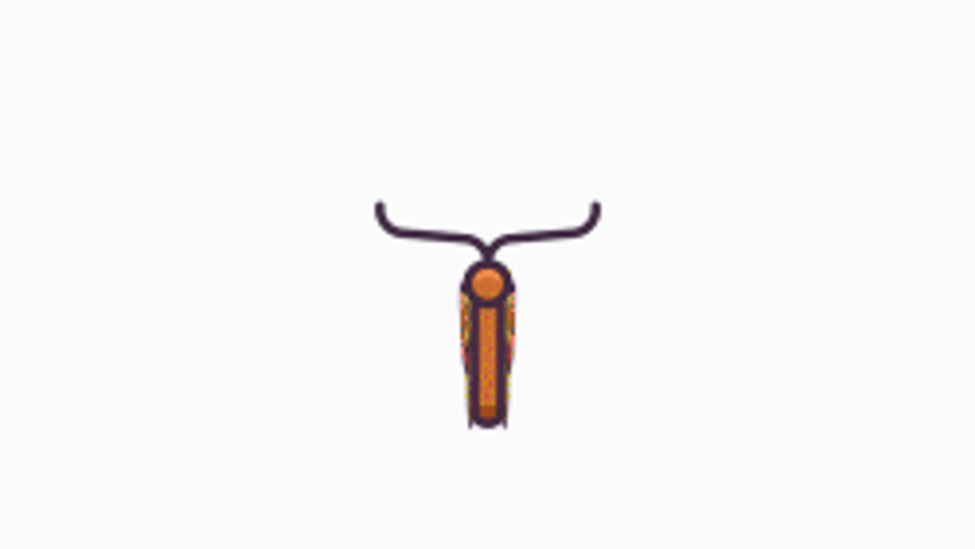 Flying Butterfly GIFs