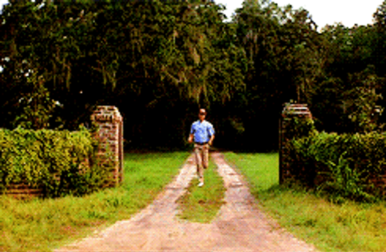 Forrest Gump Running GIFs