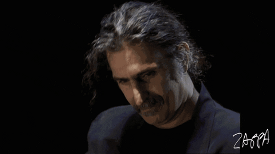 Frank Zappa GIFs