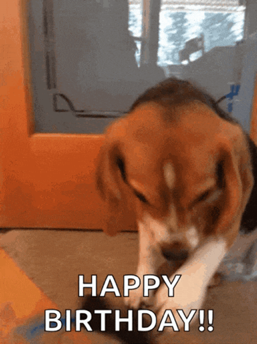 Funny Happy Birthday GIFs