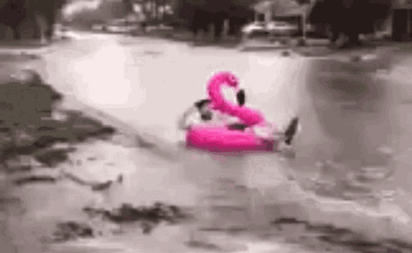 Funny Rain GIFs