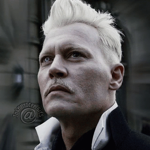 Gellert Grindelwald GIFs