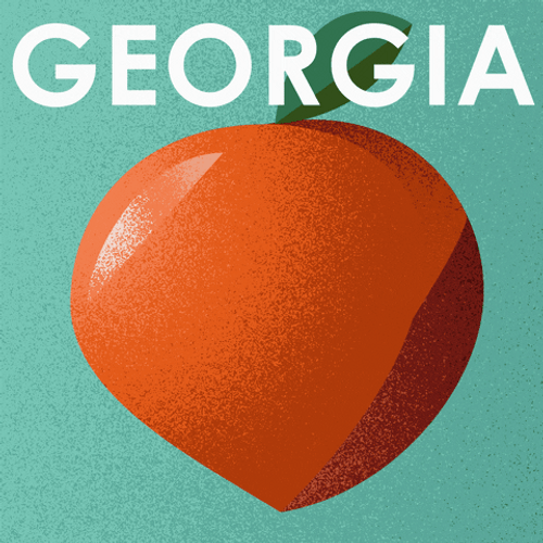 Georgia GIFs