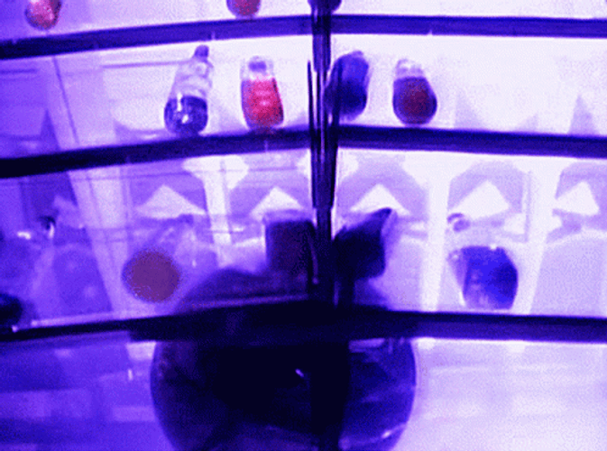 Glass Breaking GIFs