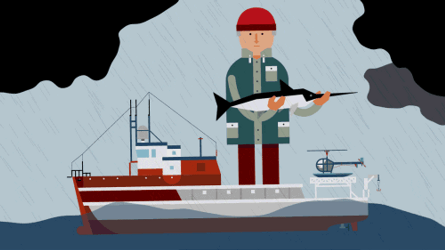 Gonna Need A Bigger Boat GIFs