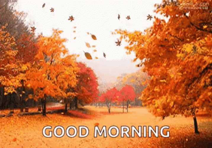 Good Morning Fall GIFs