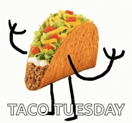 Good Morning Happy Taco Tuesday GIFs