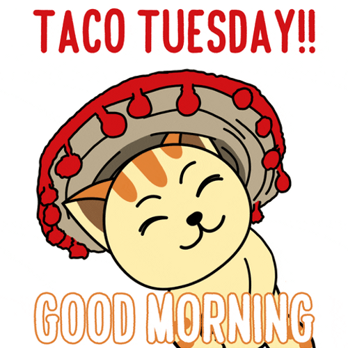 Good Morning Taco Tuesday GIFs
