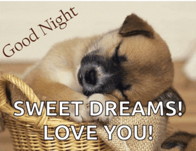Good Night GIFs
