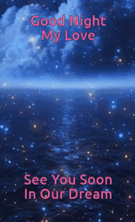 Good Night My Love GIFs