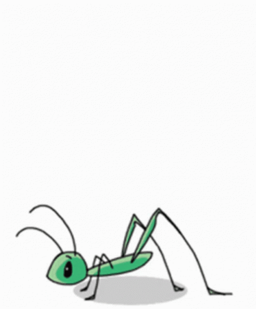 Grasshopper GIFs