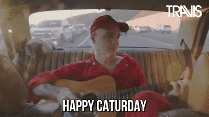Happy Cat Meme GIFs