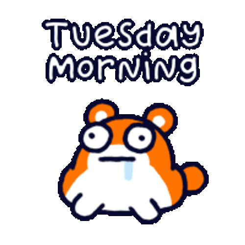 Happy Tuesday Funny GIFs