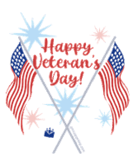 Happy Veterans Day 2024 GIFs