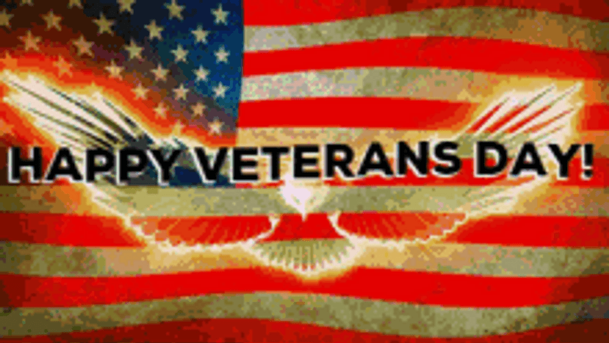 Happy Veterans Day GIFs