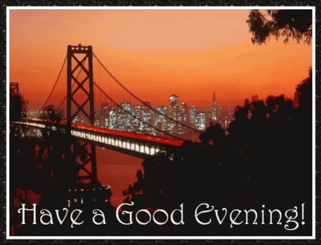 Have A Good Evening GIFs