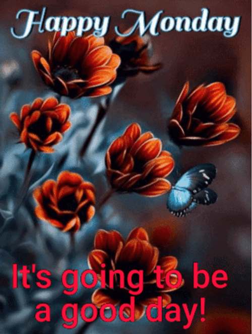 Have A Good Monday GIFs