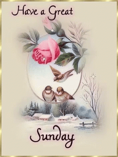 Have A Great Sunday GIFs