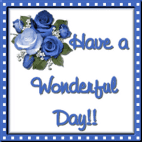 Have A Wonderful Day GIFs