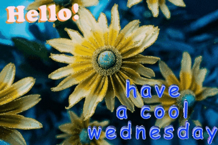 Hello Wednesday GIFs