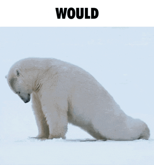 Humping GIFs