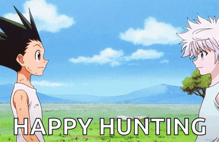 Hxh GIFs