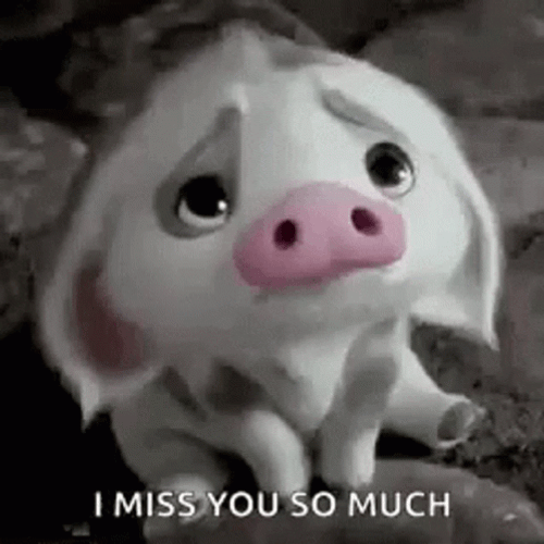 I Miss You So Much GIFs