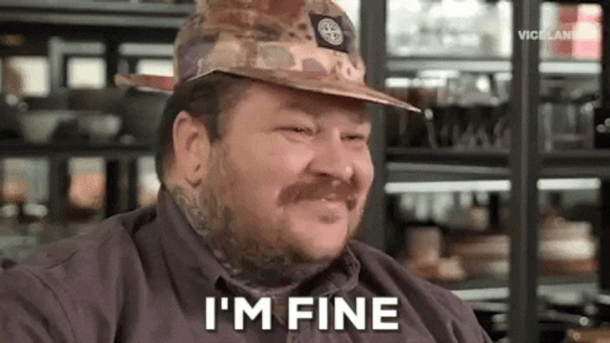 Im Fine GIFs