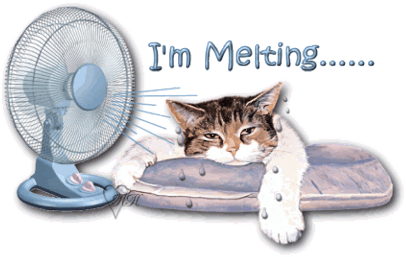 Im Melting GIFs