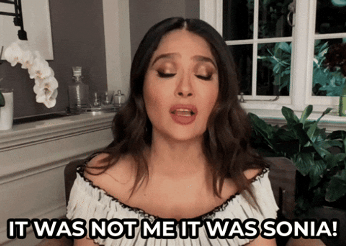 It Wasn't Me GIFs