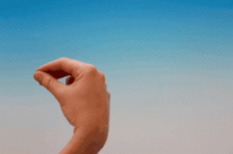 Italian Hand Gesture GIFs