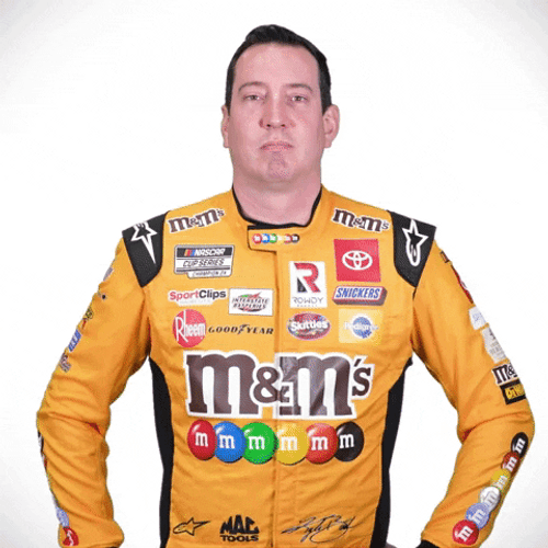 Kyle Busch GIFs
