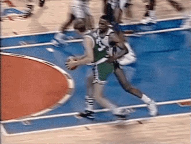 Larry Bird GIFs