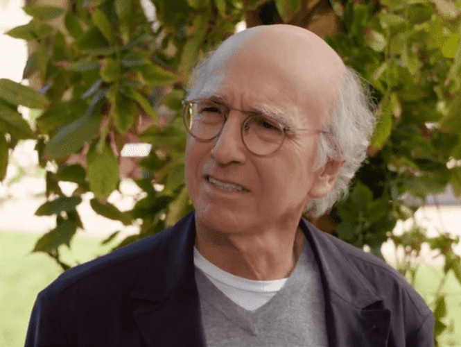 Larry David GIFs