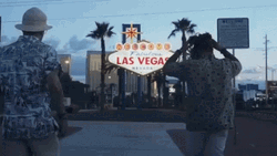 Las Vegas GIFs