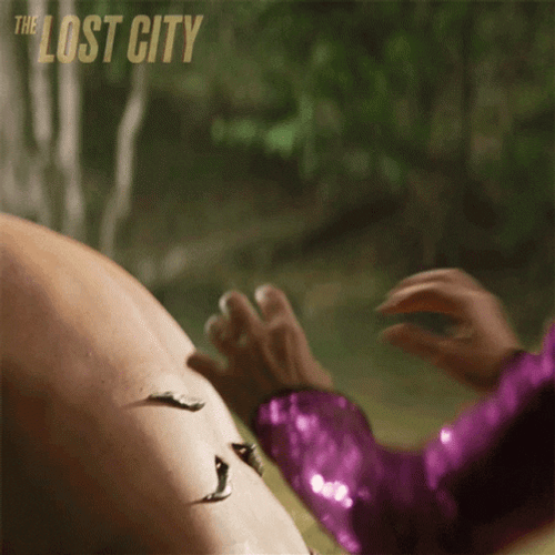 Leech GIFs