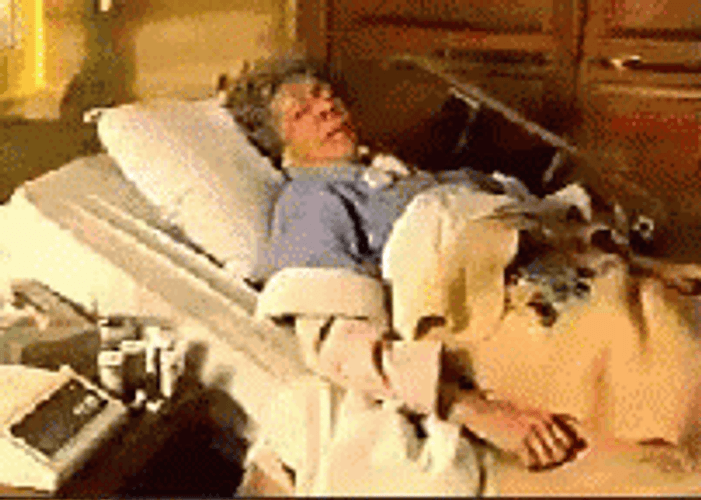 Life Alert GIFs