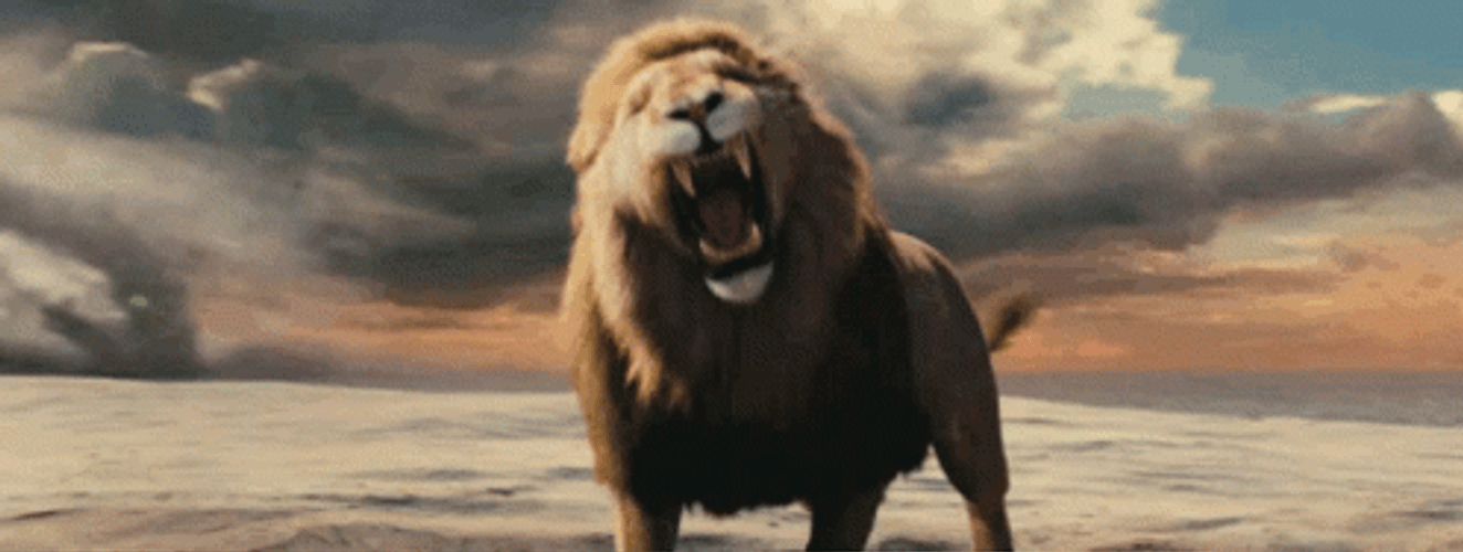 Lion GIFs