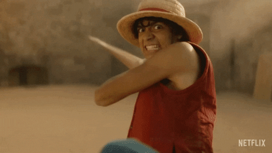 Luffy Fighting GIFs