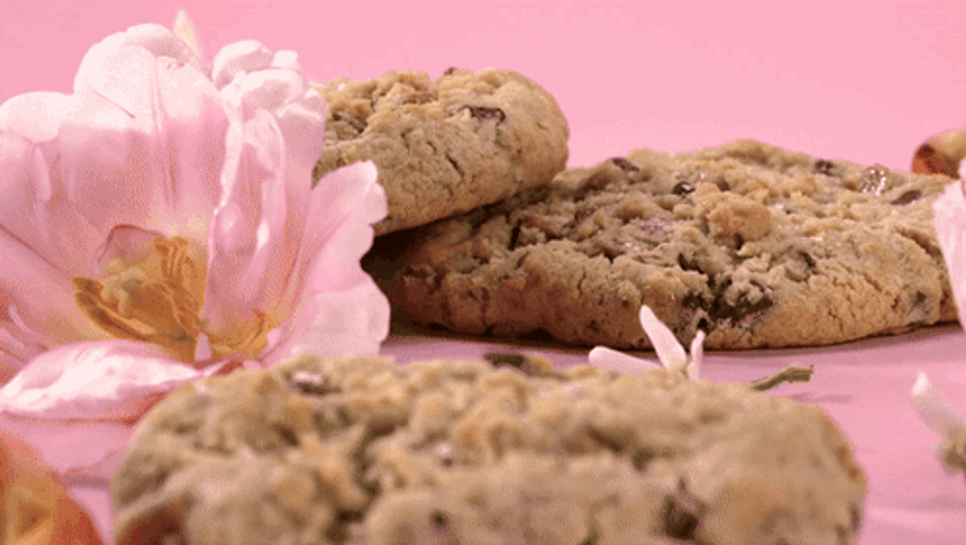 Mama May I Have Cookie GIFs