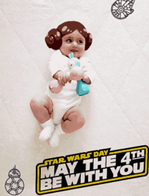 May The 4Th Be With You GIFs