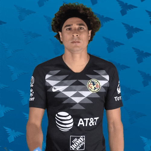 Memo Ochoa GIFs