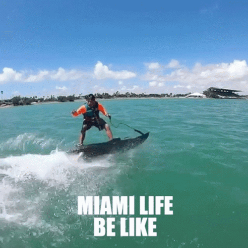 Miami GIFs