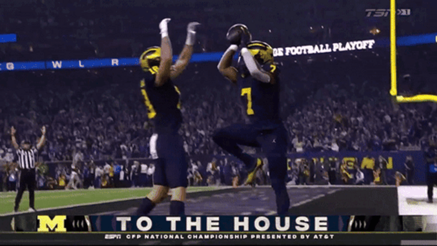 Michigan Wolverines GIFs