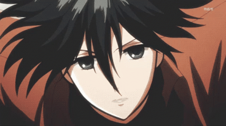 Mikasa Ackerman GIFs